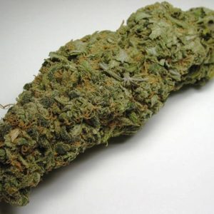 Hawaiian Indica for Sale