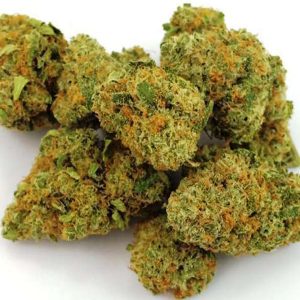 Infinite Euphoria Marijuana for Sale