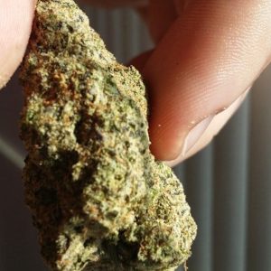 Khalifa Kush Marijuana for Sale