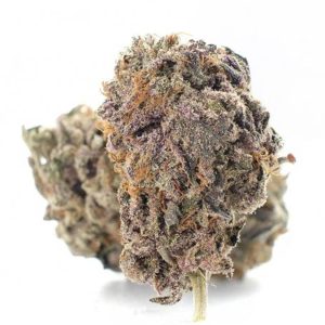 Se vende cannabis Purple Dragon (AAAAA)